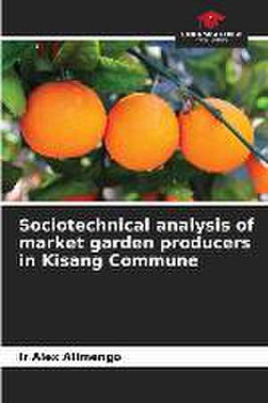 Sociotechnical analysis of market garden producers in Kisang Commune de Ir Alex Alimengo