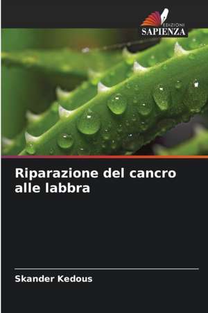 Riparazione del cancro alle labbra de Skander Kedous