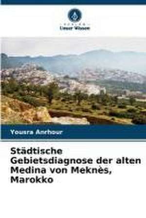 Städtische Gebietsdiagnose der alten Medina von Meknès, Marokko de Yousra Anrhour