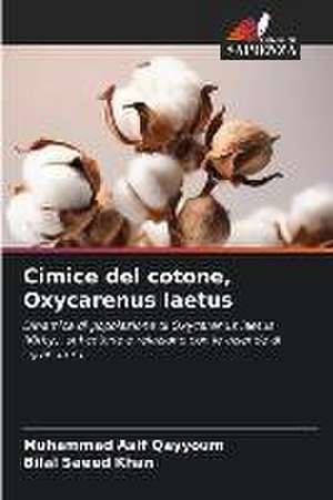 Cimice del cotone, Oxycarenus laetus de Muhammad Asif Qayyoum