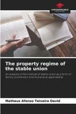 The property regime of the stable union de Matheus Afonso Teixeira David