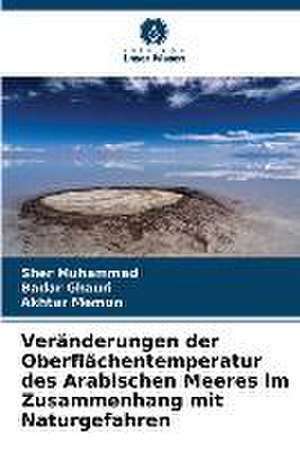 Veränderungen der Oberflächentemperatur des Arabischen Meeres im Zusammenhang mit Naturgefahren de Sher Muhammad