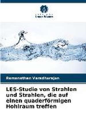 LES-Studie von Strahlen und Strahlen, die auf einen quaderförmigen Hohlraum treffen de Ramanathan Varadharajan