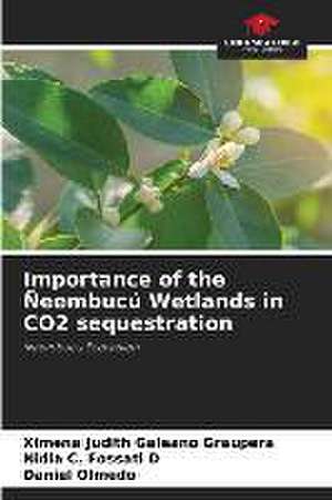 Importance of the Ñeembucú Wetlands in CO2 sequestration de Ximena Judith Galeano Graupera