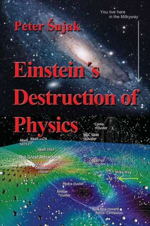 Einstein's Destruction of Physics de Peter Sujak