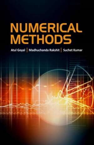 Numerical Methods de Atul Goel