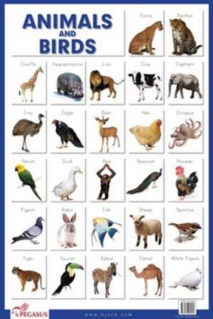 Animals & Birds de Pegasus