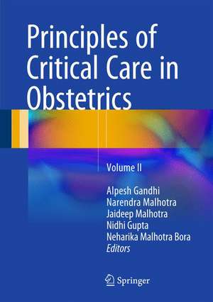 Principles of Critical Care in Obstetrics: Volume II de Alpesh Gandhi