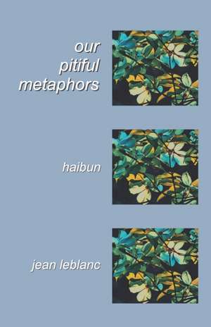 Our Pitiful Metaphors de Jean Leblanc
