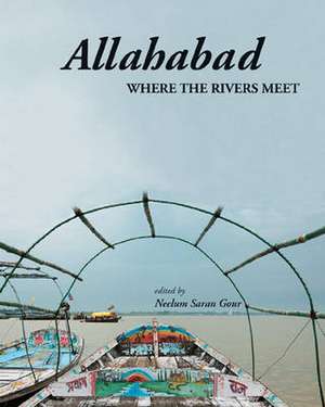 Allahabad: Where the Rivers Meet de Neelum Saran Gour