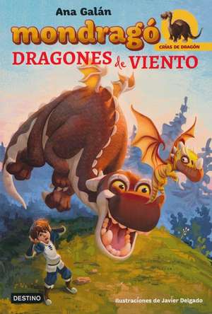 Dragones de viento de Ana Galán