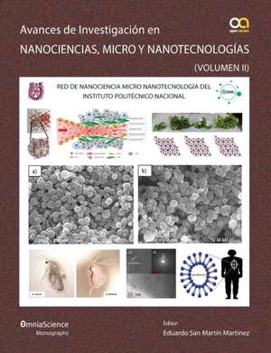 Avances en investigación en Nanociencias, Micro y Nanotecnologías (Vol II) de Eduardo San Martín Martínez