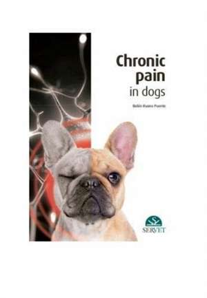 CHRONIC PAIN IN DOGS