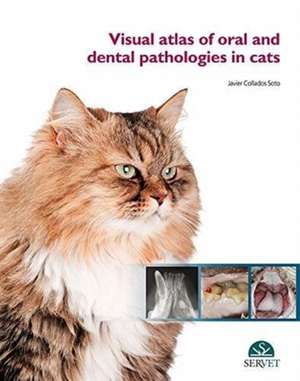 VISUAL ATLAS OF ORAL & DENTAL PATHOLOGIE