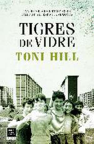 Tigres de vidre de Toni Hill