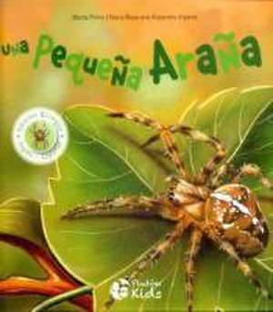 Una pequeña araña de Núria Roca Soto