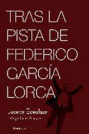 Tras la pista de Federico García Lorca de Ioseba Eceolaza Latorre