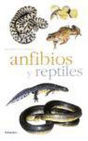 Anfibios y reptiles de Marc Santiani