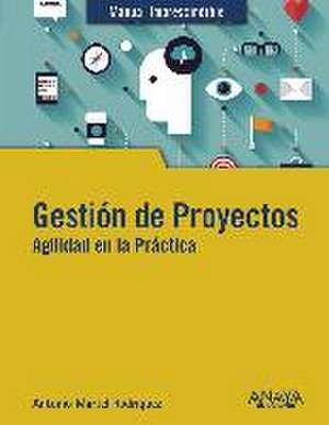 Gestión de proyectos : agilidad en la práctica de Antonio Martel