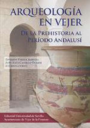 Arqueología en Vejer : de la Prehistoria al Período Andalusí de Francisca Chaves Tristán