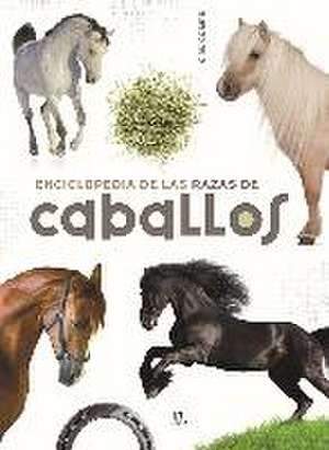 Enciclopedia de las razas de caballos de Consuelo Martín Comps