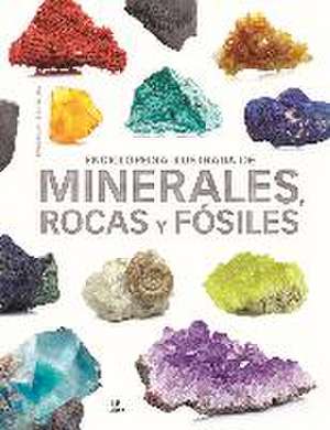 Enciclopedia ilustrada de minerales, rocas y fósiles de Carmen Martul Hernández