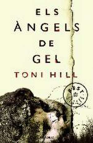 Els àngels de gel de Toni Hill