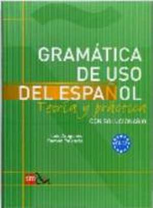 Gramática de uso del español. Teoría y práctica C1-C2 de Luis Aragonés Fernández