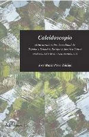 Caleidoscopio : una mirada sobre la realidad de España y Ecuador, Europa y América Latina en el contexto de la crisis económica de José María Pérez Zúñiga