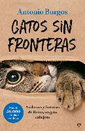 Gatos sin fronteras : andanzas y fortunas de Remo, un gato callejero de Antonio Burgos Herce