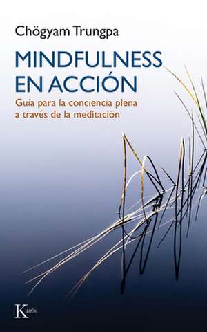 Mindfulness En Acción: Guía Para La Conciencia Plena a Través de la Meditación de Carolyn Rose Gimian