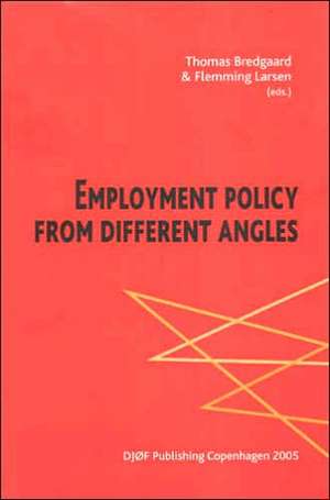 Employment Policy from Different Angles de Thomas Bredgaard