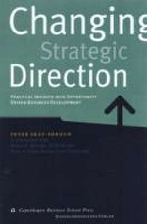 Changing Strategic Direction de Peter Skat-Rordam