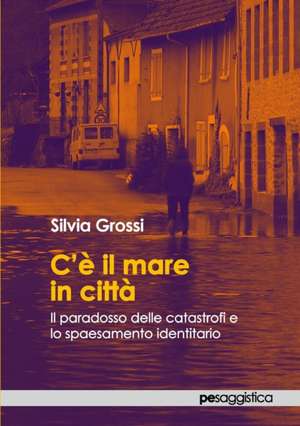 C'è il mare in città. Il paradosso delle catastrofi e lo spaesamento identitario de Silvia Grossi