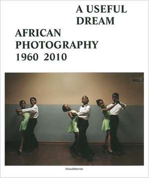 A Useful Dream de Njami Simon