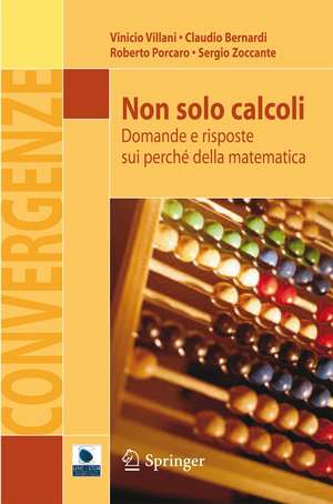 Non solo calcoli: Domande e risposte sui perché della matematica de Vinicio Villani