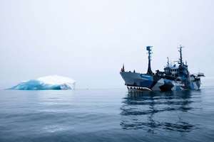 Sea Shepherd: 40 Years