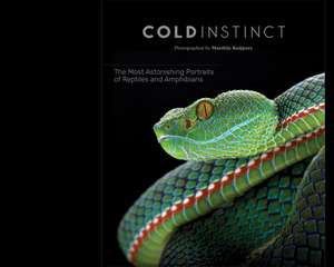 Matthijs Kuijpers: Cold Instinct de Matthijs Kuijpers