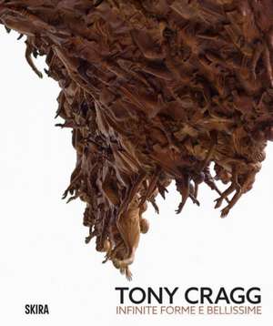 Tony Cragg de Sergio Risaliti