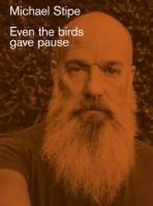 Michael Stipe: Even the birds gave pause de Michael Stipe