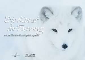 Die Kunst der Tarnung de Anna Levin