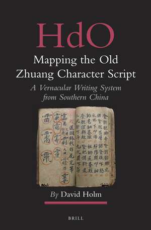 Mapping the Old Zhuang Character Script: A Vernacular Writing System from Southern China de David Holm