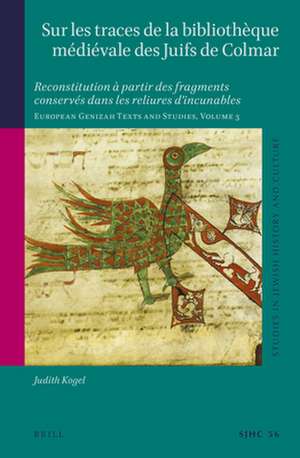 Sur les traces de la bibliothèque médiévale des Juifs de Colmar: Reconstitution à partir des fragments conservés dans les reliures d'incunables European Genizah Texts and Studies, Volume 3 de Judith Kogel