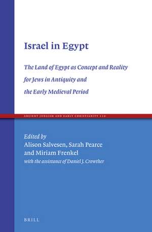 Israel in Egypt: The Land of Egypt as Concept and Reality for Jews in Antiquity and the Early Medieval Period de Alison Salvesen