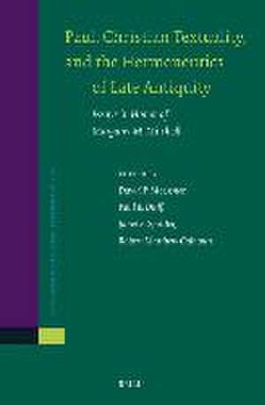 Paul, Christian Textuality, and the Hermeneutics of Late Antiquity: Essays in Honor of Margaret M. Mitchell de David Moessner