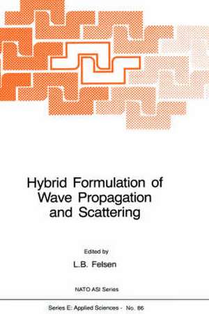 Hybrid Formulation of Wave Propagation and Scattering de L.B. Felsen