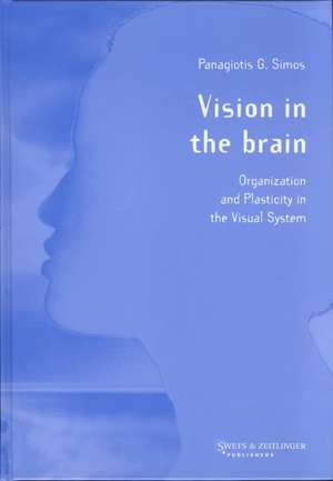 Vision in the Brain de P.G. Simos