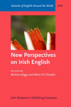 New Perspectives on Irish English