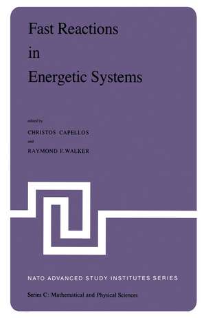 Fast Reactions in Energetic Systems: Proceedings of the NATO Advanced Study Institute held at Preveza, Greece, July 6 – 19, 1980 de Christos Capellos