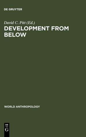 Development from Below: Anthropologist and Development Situations de David C. Pitt